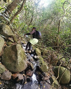 mauritius tourist guided tours waterfalls hiking