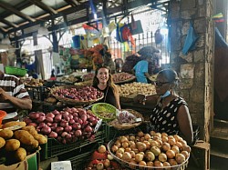 Mauritius central market guided tours