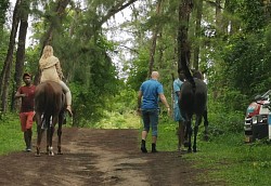 Horse riding Mauritius Guided tours