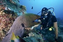 diving mauritius booking